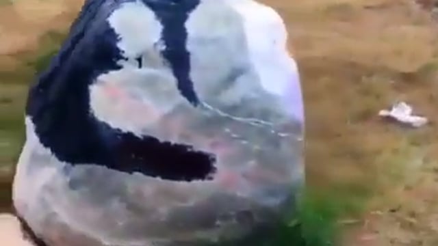 ➡️....ISE Kahate Hain Kahate Hain pattharon Mein Jaan dalna Kis Tarah khubsurti Se Painting  ki gai hai