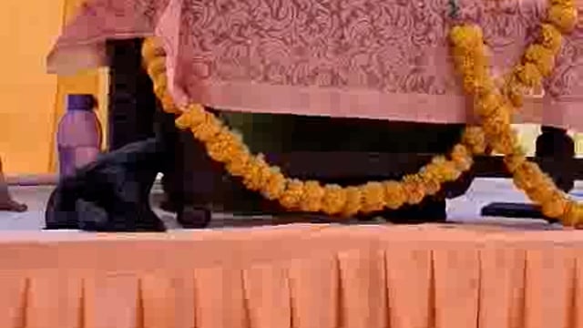 जी बी पी एस ट्रस्ट वृंदावन से आई परिचारिका जीवानुगा इंदु वैष्णवी ने मंदिर ठाकुरद्वारा बहसूमा में गीता भागवत एवं दीपदान