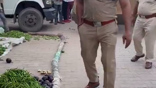 ➡️......बुलडोजर अब गरीब दुकानदारों की सब्जी रौंदने के काम भी आता है !!*

बहादुरगढ़, हरियाणा