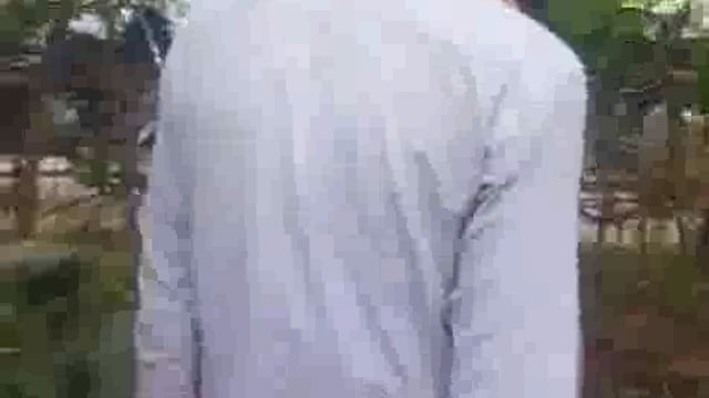 पलिया क्षेत्र में बाघ की दहशत, ग्राम बसन्तापुर कलां में सांड़ पर किया हमला, लोग घरों में दुबकने को मजबूर, वन विभाग मौन