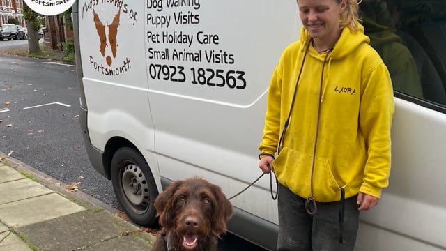 A Dog Walking Business