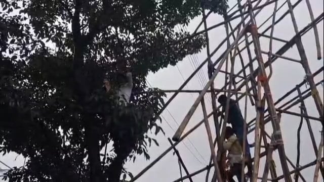 उदगीरात विद्युत तारे जवळ जीव धोक्यात घालून बॅनरची उभारणी