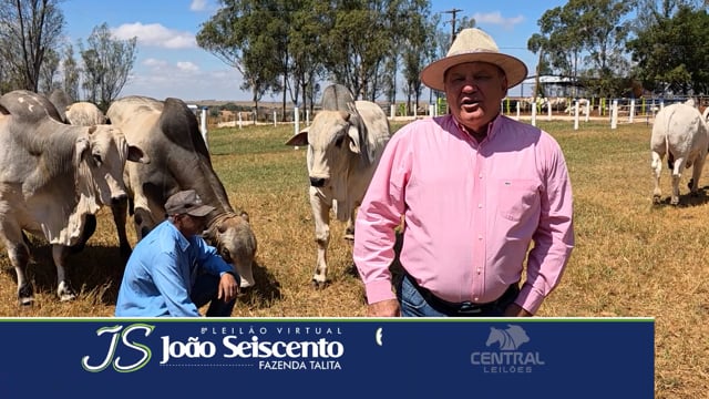 Convite<br>João Seiscento - Nelore JS<br>Fazenda Talita