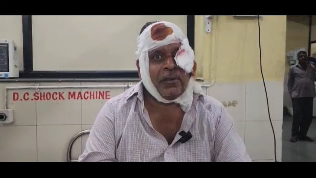 देवणी येथे हल्ला करणारा लांडगा वाहनांच्या धडकेत जखमी होऊन मृत पावला 