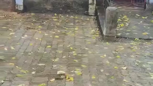 चिरगांव में उच्च प्राथमिक विद्यालय उजयान ब्लॉक चिरगांव तहसील टहरौली जनपद झांसी विद्यालय की दुर्दशा बहुत खराब है सरकारी 