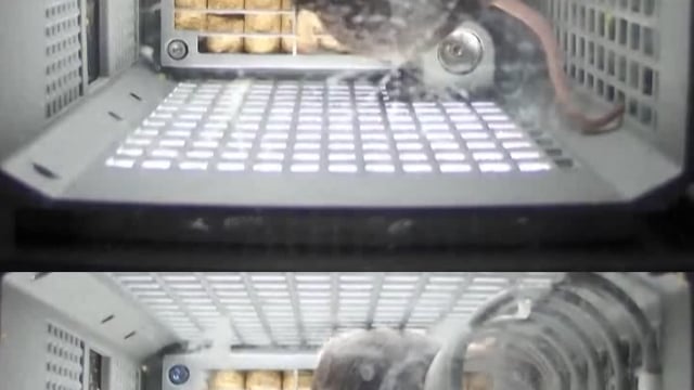 ➡️......चीन ने पहली बार चार चूहों को अंतरिक्ष में भेजा है। बताया जा रहा है 
कि वे ठीक हैं और सूक्ष्म गुरुत्वाकर्षण के अनुकूल हो गए हैं, 
उनके व्यवहार में कोई बदलाव नहीं आया है।