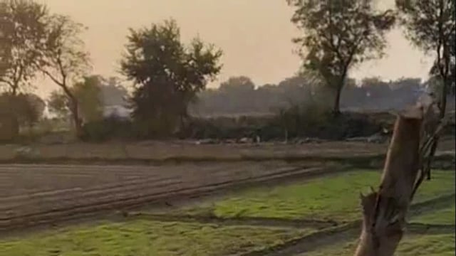 थाना जमुनापार क्षेत्र के गांव भूतिया में दबंगों ने काटे दो दर्जन से अधिक हरे-भरे पेड़, वन विभाग कार्यवाही करने में जुटा।