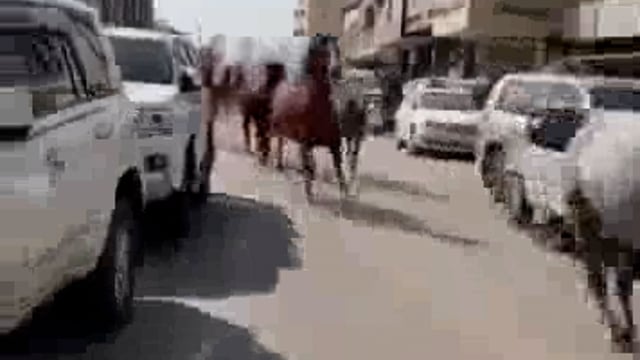 🛑....दुबई के अस्तबल मे घोड़ो को पानी मे नशीला पदार्थ पिलाने से घोड़ो का दिमागी संतुलन बिगड़ा घोड़ो ने पूरे इलाके मे_*

 *_बदहवाश दौड़ दौड़ कर भारी तबाही मचाई गॉवर्मेंट ने सख्त जाँच के आदेश दिये गुनाहगार को सख्त सजा का ऐलान।_*