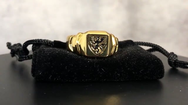 Video Regal Rings by David Regal - Trick