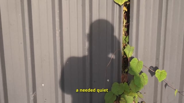 Why Do I Keep Looking at Myself?