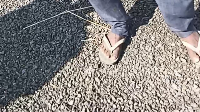 चार माह पहले नवीनीकृत सड़क की उड़ी धज्जियां,काली गिट्टियां उखड़ कर सड़क पर बिखरी 