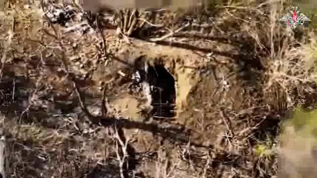 ➡️.....रूस के ड्रोन ने यूक्रेनी रेखाओं को तहस-नहस कर दिया....समन्वित UAV हमलों ने यूक्रेनी मोर्चों पर भारी क्षति पहुंचाई — फुटेज में कई सेक्टरों में सटीक निशाने दिख रहे हैं*