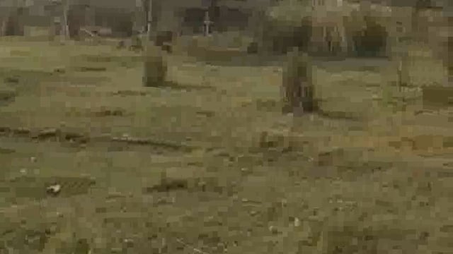 Bahraich.. जनपद बहराइच तहसील महसी थाना क्षेत्र हरदी के ग्राम गंगापुरवा में बनी पानी की टंकी रो रही अपनी किस्मत पर लोगों 