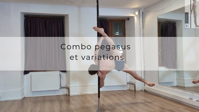 Combo pegasus et variations