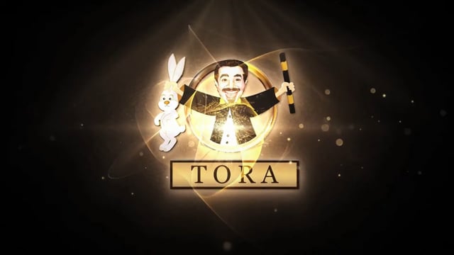 Video Shiraz Wine Bottles by Tora Magic