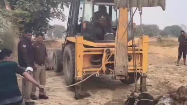 MANT- दलदल में फसी गौ माता,को गौ सेवकों ने बचाया, प्रशासन व ग्रामीण रहे मौजूद,,