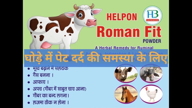 घोड़े में पेट दर्द होने पर प्राथमिक उपचार के लिए संपर्क करें9412573852