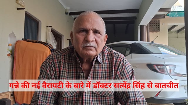 गन्ने की नई वैरायटी के बारे में डॉक्टर सत्येंद्र सिंह से खास बातचीत