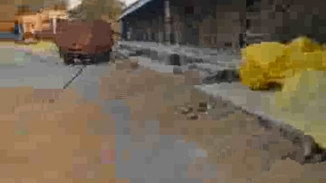 पलिया नवीन मंडी में किसानों का शोषण चरम पर, 26 दिन से धान की तौल लंबित, आक्रोशित किसान बोले कि धान में लगा देंगे आग