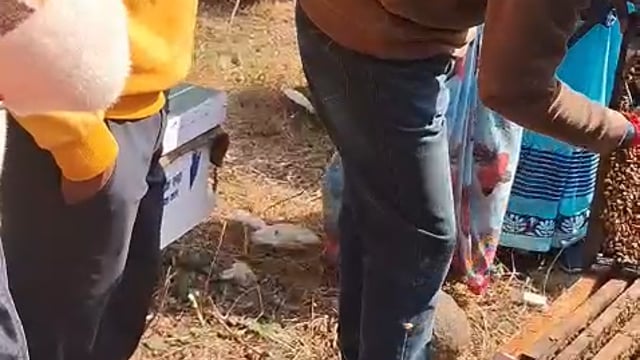 ब्लॉक पलिया से समूह की महिलाओं ने मक्खी पालन कार्य शुरू किया   जिसमें समूह की दीदियों ने मिलकर काम शुरू किया