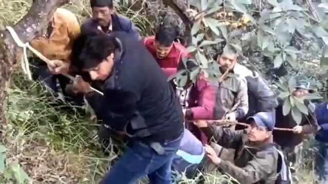 ➡️.....उत्तराखंड,चमोली – पोखरी ब्लॉक – पाव गांव की एक महिला पर भालू ने हमला कर गंभीर रूप से घायल कर दिया, महिला घास लेने गई थी और पूरी रात जंगल में घायल पड़ी रही, सुबह वन विभाग और ग्रामीणों की तलाश में वह एक पेड़ की आड़ में मिली, भालू ने उसका चेहरा बुरी तरह जख्मी किया, पहाड़ी क्षेत्रों में भालुओं के हमले लगातार बढ़ रहे हैं, पिछले 6 साल में 31 लोगों की मौत और 318 लोग घायल हुए, पर्यावरणविदों का कहना है कि कम बर्फबारी से हिमालयन भालुओं की शीतनिद्रा प्रभावित हुई है जिससे वे अधिक आक्रामक हो रहे हैं