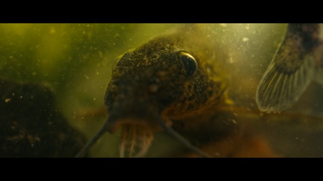 Kabompo River Expedition