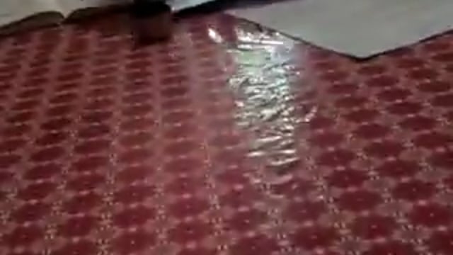 ➡️.......कानपुर: पिछड़ा वर्ग कल्याण अधिकारी बीरपाल ने ली घूस
20 हजार की घूस लेते मोबाइल कैमरे में हुए कैद
घूस लेते हुए वीडियो सोशल मीडिया पर वायरल
पीड़ित ने खुद घूस देने का वीडियो किया वायरल