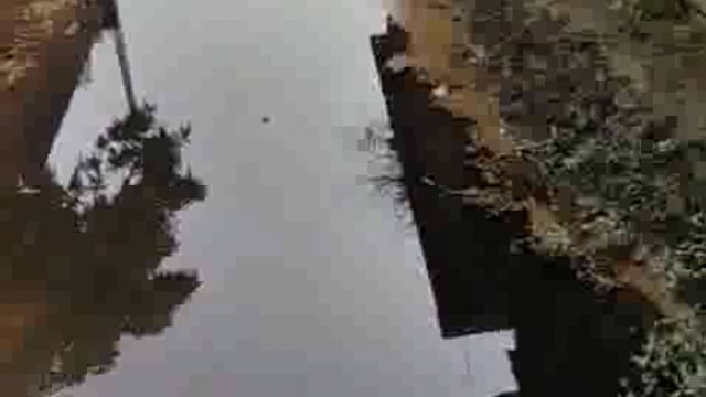 पलिया के बड़ा सरखना गांव की सड़कों पर जलभराव