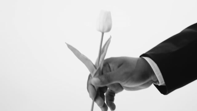 Sandra & Sesan Wedding