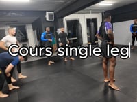Single Leg