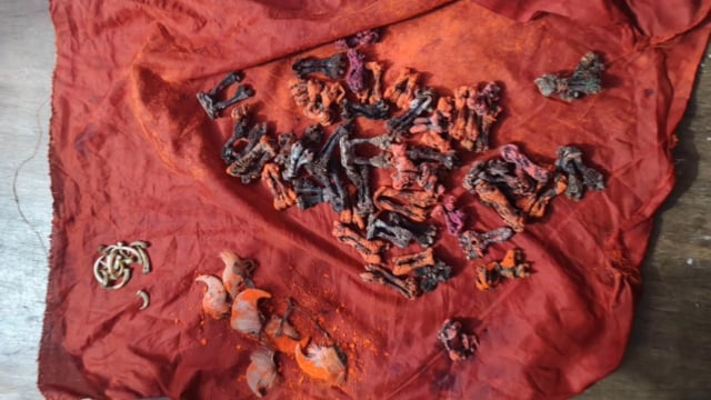 MANT- मथुरा में तीन वन्य जीव, तस्कर गिरफ्तार,,