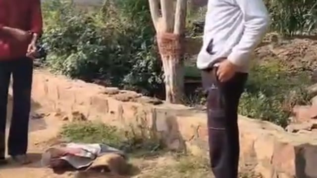 बृजवासी गौ रक्षक सेनाभारत केराष्ट्रीय अध्यक्ष धर्मदास महाराज नेआवाहनकिया है की हर जिले मेंसभी आगे आए गौ सेवा मैं मदद करे