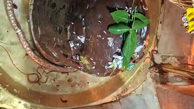 मेरठ सैफपुर फिरोजपुर सिद्ध पीठ श्री शिव मंदिर में भगवान शिव का शिव भक्तों ने किया पूजन