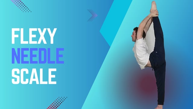 Flexy Needle scale
