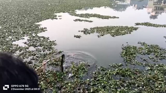 राया: गोपाल बाग स्थित पोखर में कूद किशोरी ने की आत्महत्या, पुलिस मौके पर 