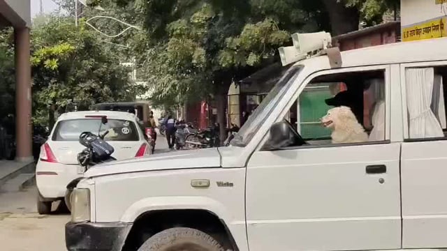 वायरल वीडियो 