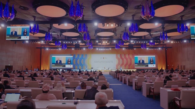 Second World Summit for Social Development 2025 - PLENARY HALL