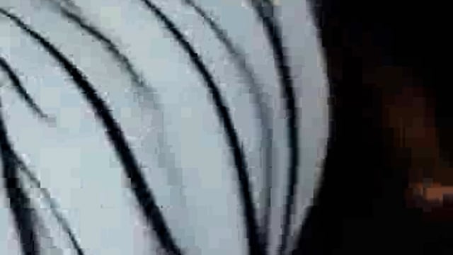 लखपत राम मीरपुर निवासी को एक ट्रैक्टर ट्राली ने टक्कर मार दी जिससे उनकी एक हाथ की हड्डी टूट गई