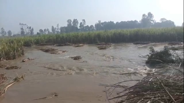 जनपद हापुड़ के ग्राम अकखापुर में रजवाहे की पटरी टूटने से किसानो की फसल नष्ट हो गई 