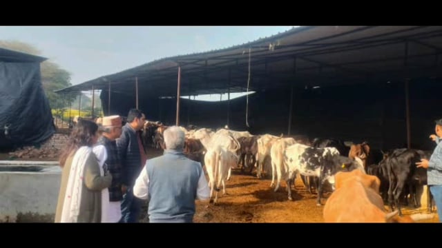 MANT- राज्य मंत्री ने किया गौशालाओं का निरीक्षण अव्यवस्थाओं को लेकर सीडीओ व वीडियो को फोन से अव्यवस्थाओं से अवगत कराया,,