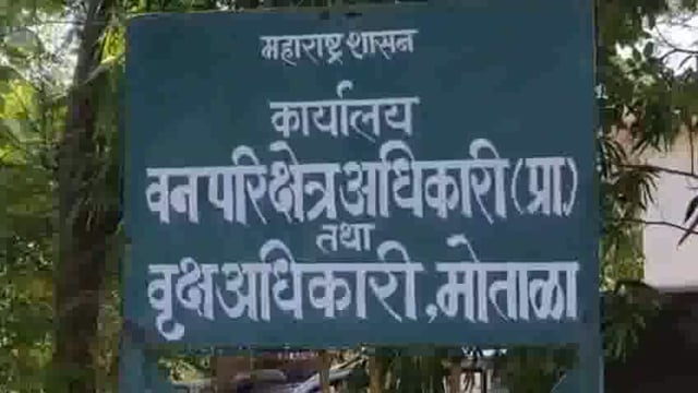 बिबट्याचा नैसर्गिक मृत्यू ही घातपात?
