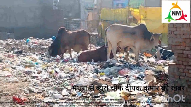 नगर निगम के कारनामे