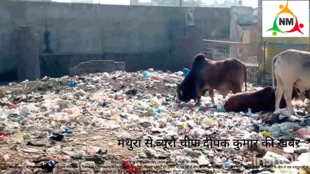 नगर निगम के कारनामे