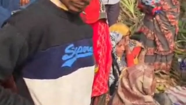 हाथियों ने मजदूर को‌ कुचला, दर्दनाक मौत