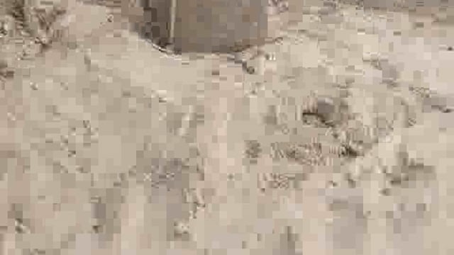 वार्ड नंबर 29 के रोड़ों की हालत