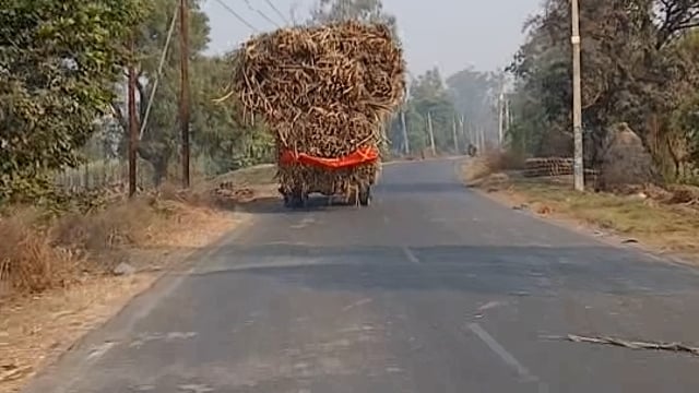 मुजफ्फरनगर के खतौली बुढ़ाना मार्ग के बीच गाने से बड़ा ट्रक ओवरलोड चल रहा है जिससे आमजन मानस को कुछ दुर्घटना होने का खतरा