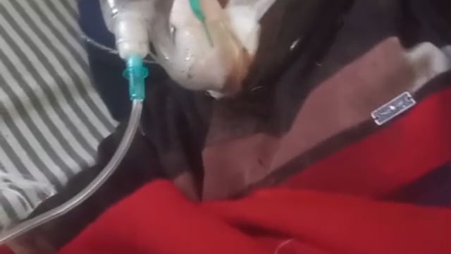 जनपद प्रतापगढ़ थाना सांगीपुर ग्राम लखनपुर जिसके साथ शनि विश्वकर्मा नाम के दरिंदे ने कुल्हाड़ी और #latest_news 