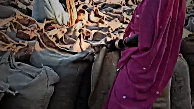 तौल हो चुकी बोरियों से धान निकाल रहे समूह संचालक हर बोरी से तकरीबन 2किलो धान निकाली जा रही है #viral #news #artist #न्यू