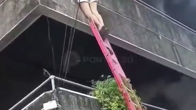 अंतरराष्ट्रीय-
फिलीपींस के सेबू के मंडाउ शहर में लगी भीषण आग के दौरान एक महिला ने अपने पालतू कुत्तों के बिना भागने से मना कर दिया
पहले उसने कुत्ते को सुरक्षित नीचे फेंक दिया, फिर अपने हाथों से रेलिंग से लटक गई और फ़ायर फाइटर्स ने सीढ़ी की मदद से उसे सुरक्षित उतार लिया