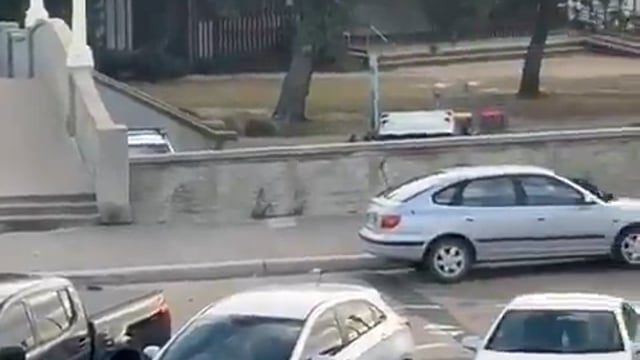 ➡️.....ऑस्ट्रेलिया में हुए जिहादी हमले का पूरा वीडियो*